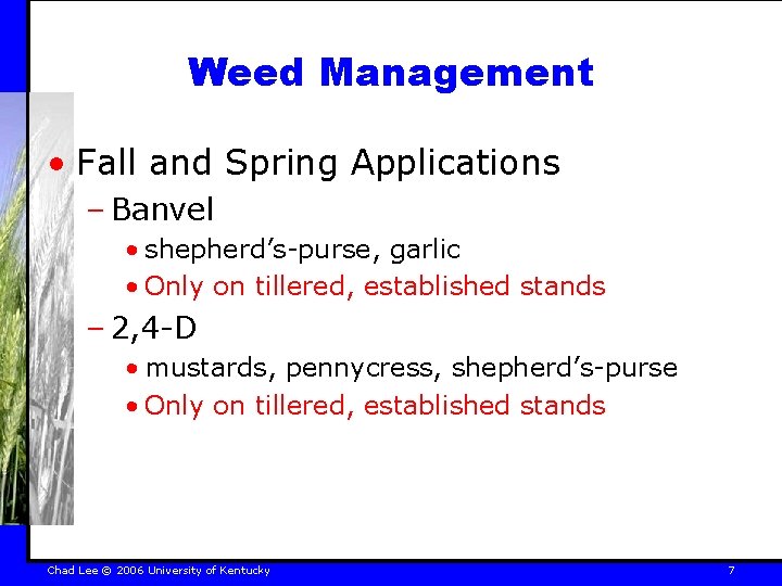 Weed Management • Fall and Spring Applications – Banvel • shepherd’s-purse, garlic • Only