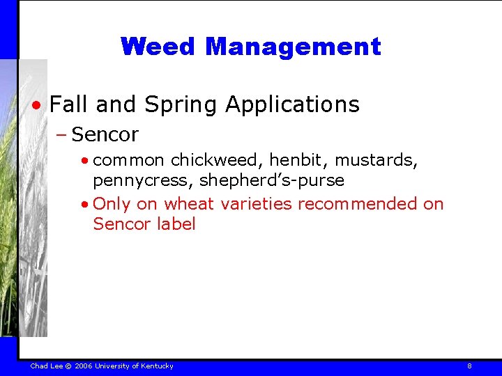 Weed Management • Fall and Spring Applications – Sencor • common chickweed, henbit, mustards,