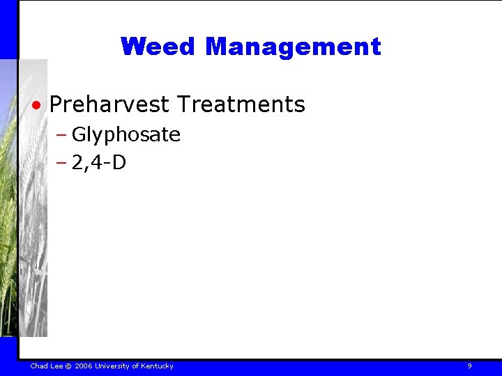 Weed Management • Preharvest Treatments – Glyphosate – 2, 4 -D Chad Lee ©