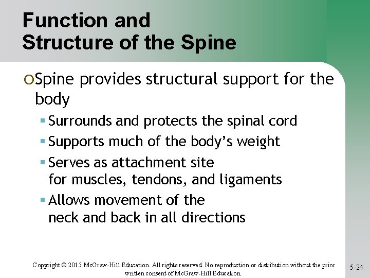 Function and Structure of the Spine ¡Spine provides structural support for the body Surrounds