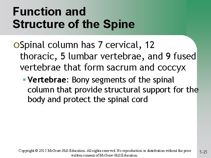 Function and Structure of the Spine ¡Spinal column has 7 cervical, 12 thoracic, 5