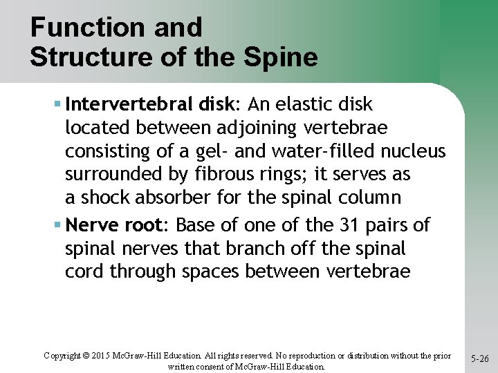 Function and Structure of the Spine Intervertebral disk: An elastic disk located between adjoining