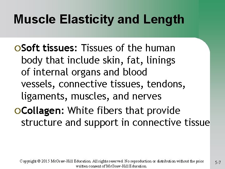 Muscle Elasticity and Length ¡Soft tissues: Tissues of the human body that include skin,