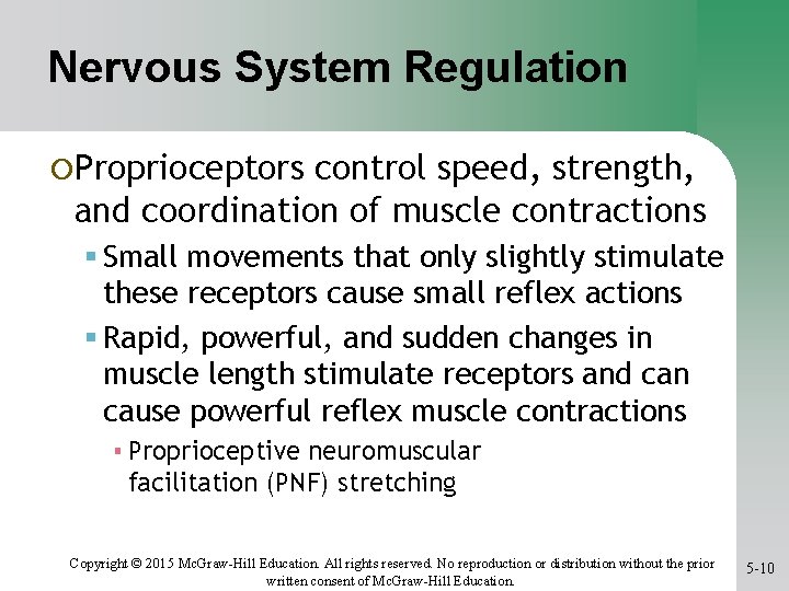 Nervous System Regulation ¡Proprioceptors control speed, strength, and coordination of muscle contractions Small movements