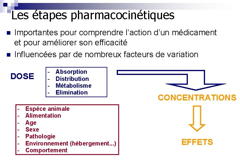 Les étapes pharmacocinétiques n n Importantes pour comprendre l’action d’un médicament et pour améliorer