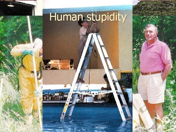 Human stupidity 56 