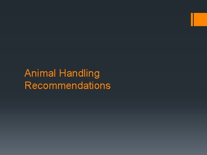 Animal Handling Recommendations 