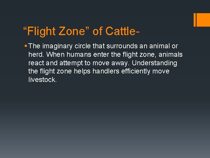 “Flight Zone” of Cattle§ The imaginary circle that surrounds an animal or herd. When