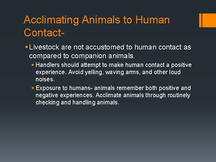 Acclimating Animals to Human Contact§ Livestock are not accustomed to human contact as compared