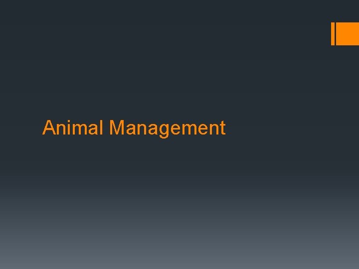 Animal Management 