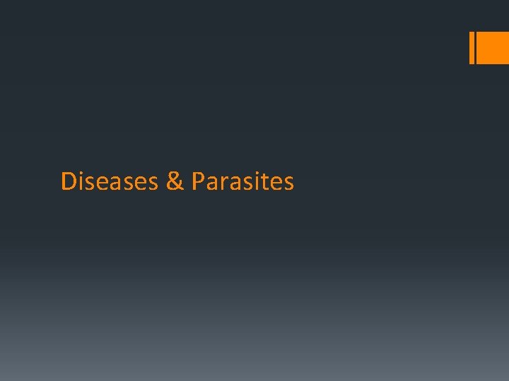 Diseases & Parasites 