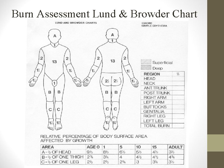 Burn Assessment Lund & Browder Chart 