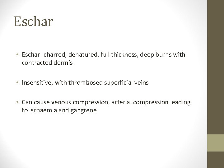 Eschar • Eschar- charred, denatured, full thickness, deep burns with contracted dermis • Insensitive,