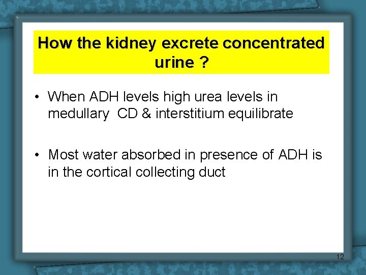 How the kidney excrete concentrated urine ? • When ADH levels high urea levels