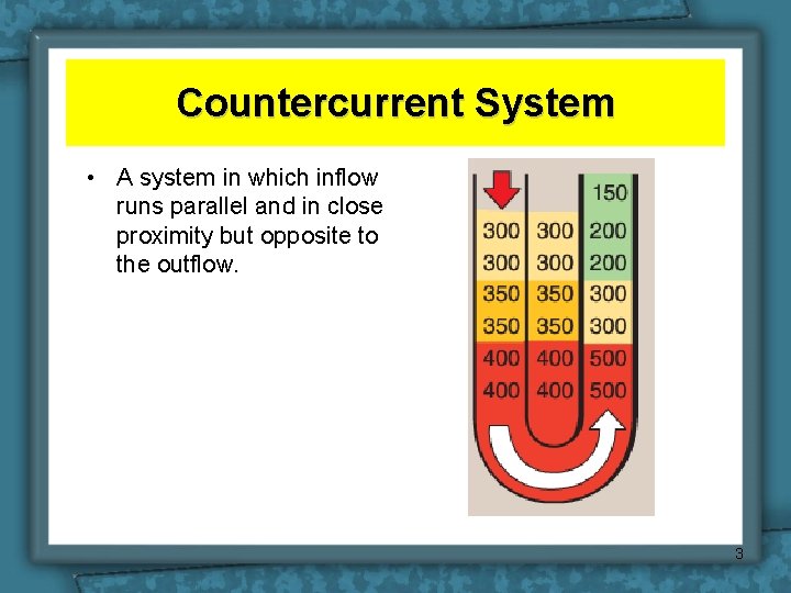 Countercurrent System • A system in which inflow runs parallel and in close proximity