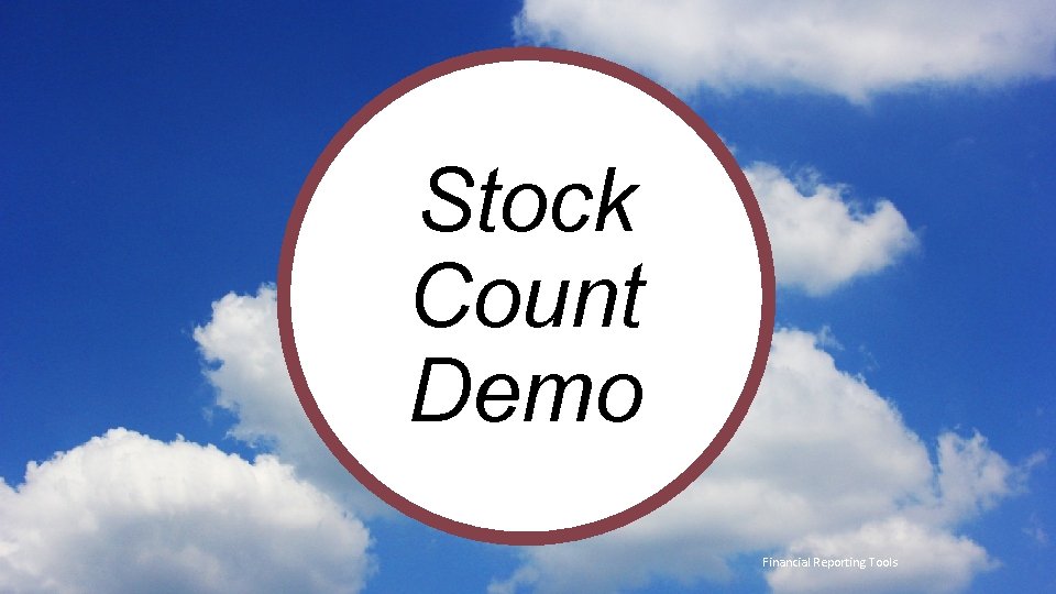Stock Count Demo t Financial Reporting Tools 