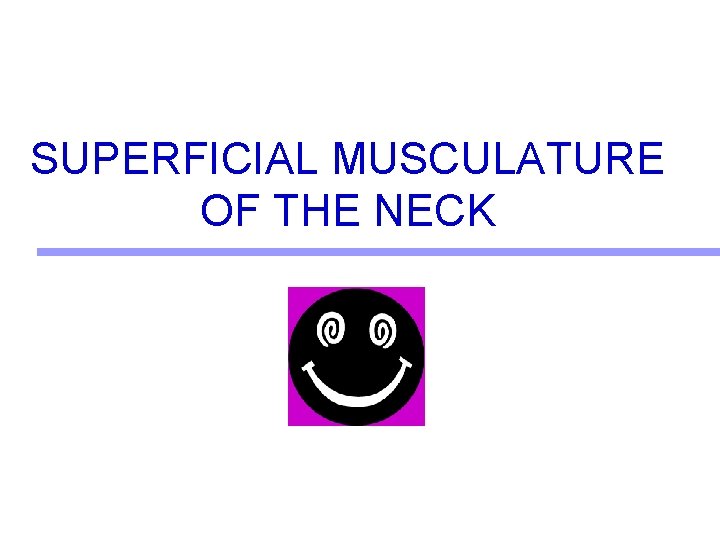 SUPERFICIAL MUSCULATURE OF THE NECK SUPERFICIAL MUSCULATURE OF THE NECK