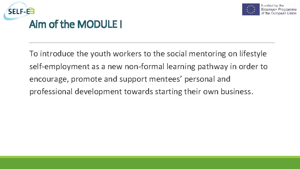 Aim of the MODULE I To introduce the youth workers to the social mentoring