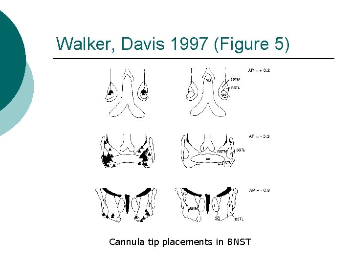 Walker, Davis 1997 (Figure 5) Cannula tip placements in BNST 