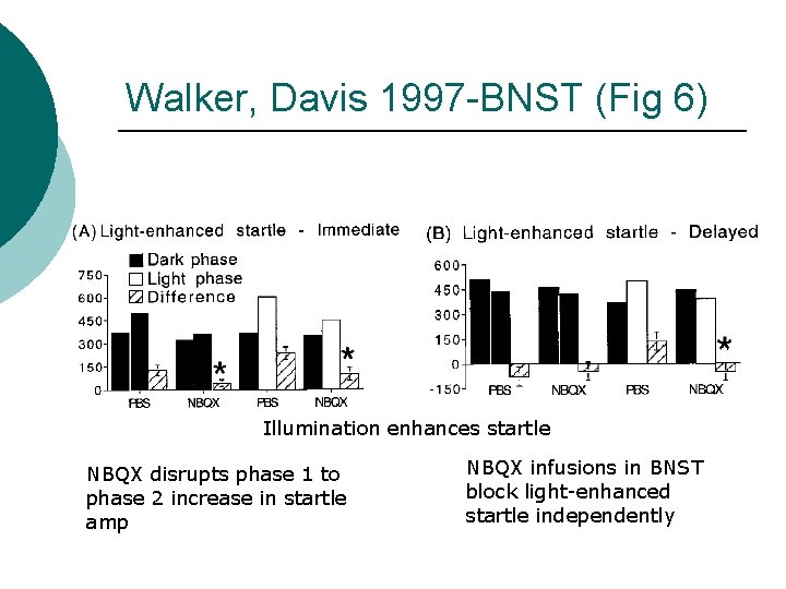 Walker, Davis 1997 -BNST (Fig 6) Illumination enhances startle NBQX disrupts phase 1 to
