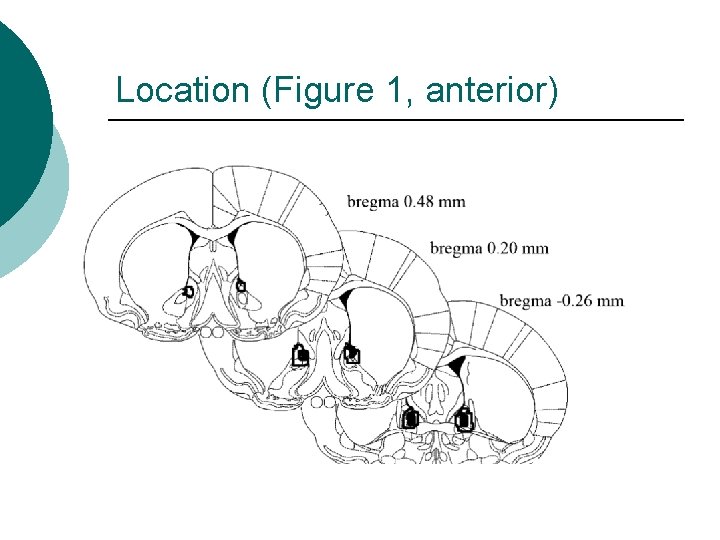 Location (Figure 1, anterior) 