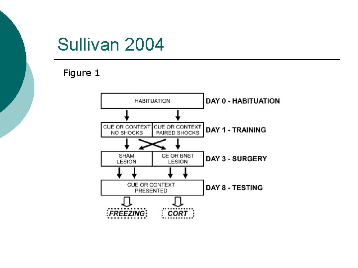 Sullivan 2004 Figure 1 