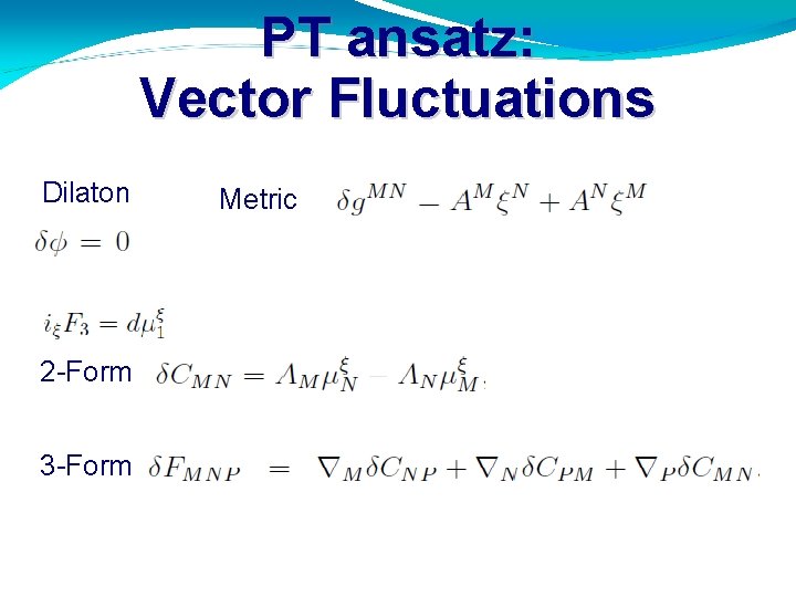 PT ansatz: Vector Fluctuations Dilaton 2 -Form 3 -Form Metric 