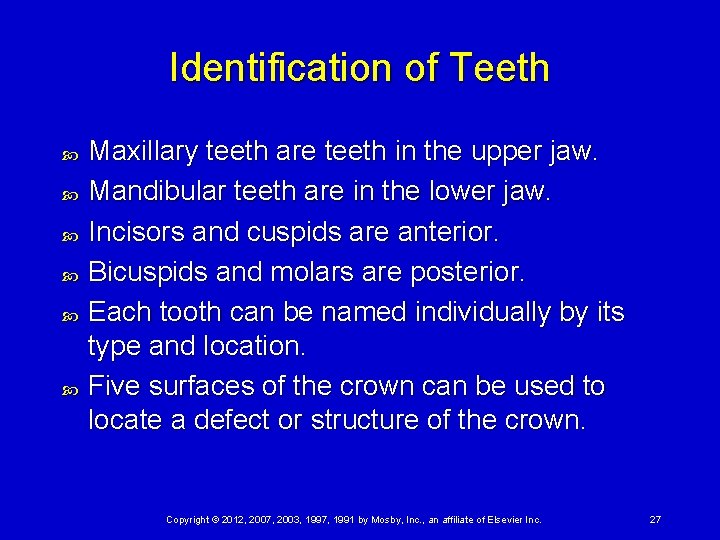 Identification of Teeth Maxillary teeth are teeth in the upper jaw. Mandibular teeth are