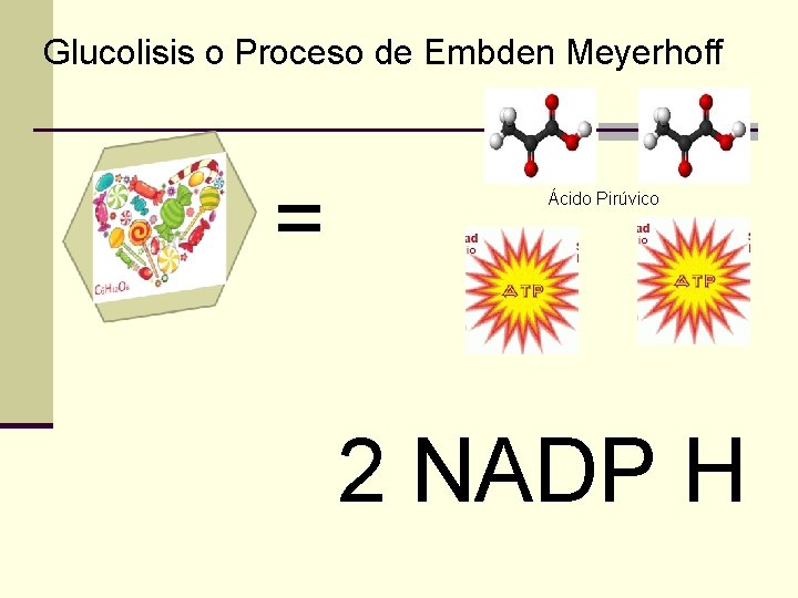 Glucolisis o Proceso de Embden Meyerhoff = Ácido Pirúvico 2 NADP H 