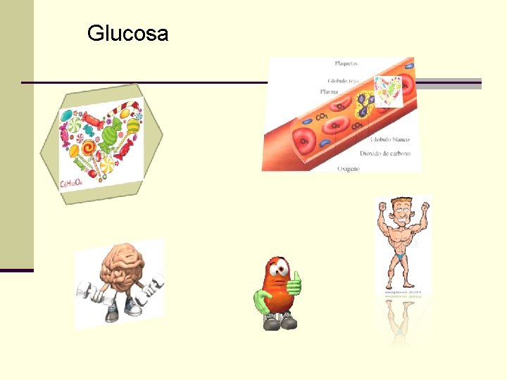 Glucosa 