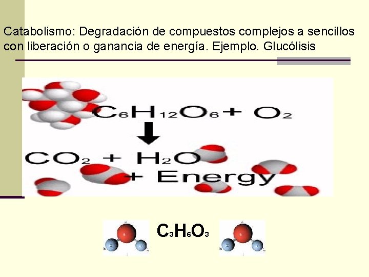 Catabolismo: Degradación de compuestos complejos a sencillos con liberación o ganancia de energía. Ejemplo.