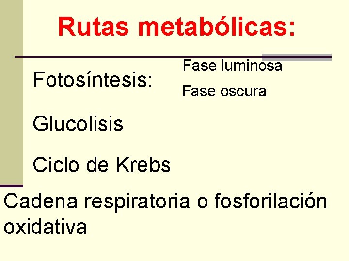 Rutas metabólicas: Fotosíntesis: Fase luminosa Fase oscura Glucolisis Ciclo de Krebs Cadena respiratoria o