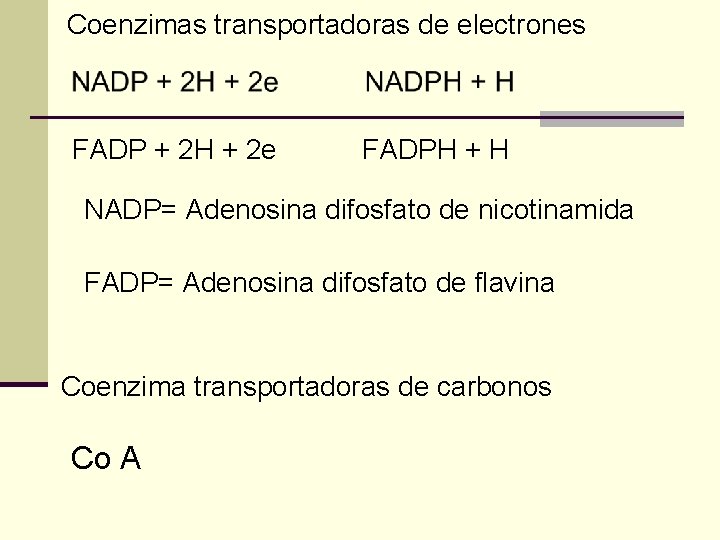 Coenzimas transportadoras de electrones FADP + 2 H + 2 e FADPH + H