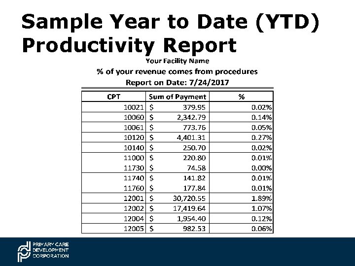 Sample Year to Date (YTD) Productivity Report 