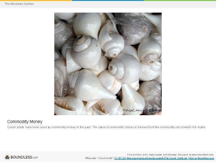 The Monetary System Commodity Money Conch shells have been used as commodity money in
