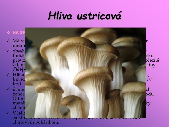 Hliva ustricová v NA SRDCE I NA VRÁSKY ü Má schopnosť aktivovať bunky, ktoré