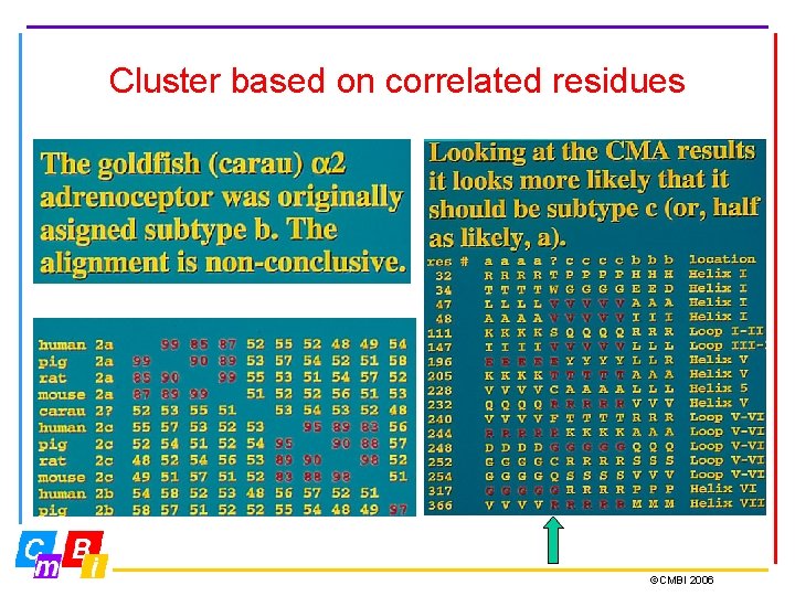 Cluster based on correlated residues ©CMBI 2006 