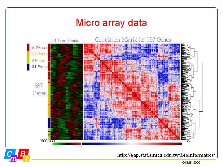 Micro array data http: //gap. stat. sinica. edu. tw/Bioinformatics/ ©CMBI 2006 