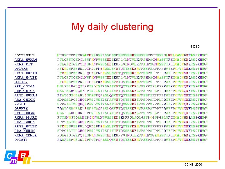 My daily clustering ©CMBI 2006 