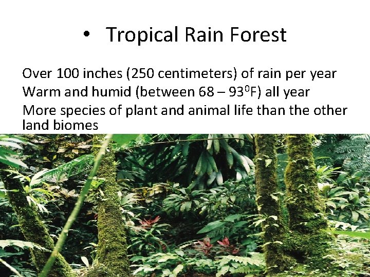  • Tropical Rain Forest Over 100 inches (250 centimeters) of rain per year