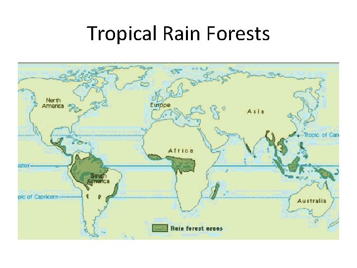 Tropical Rain Forests 