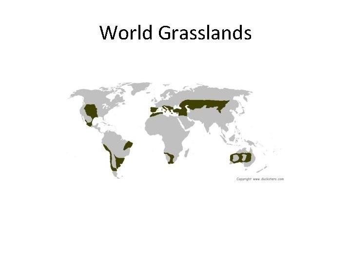 World Grasslands 