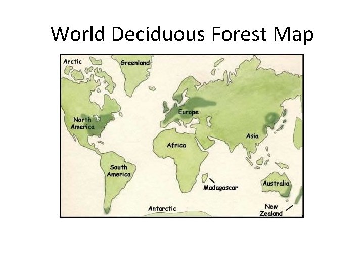 World Deciduous Forest Map 