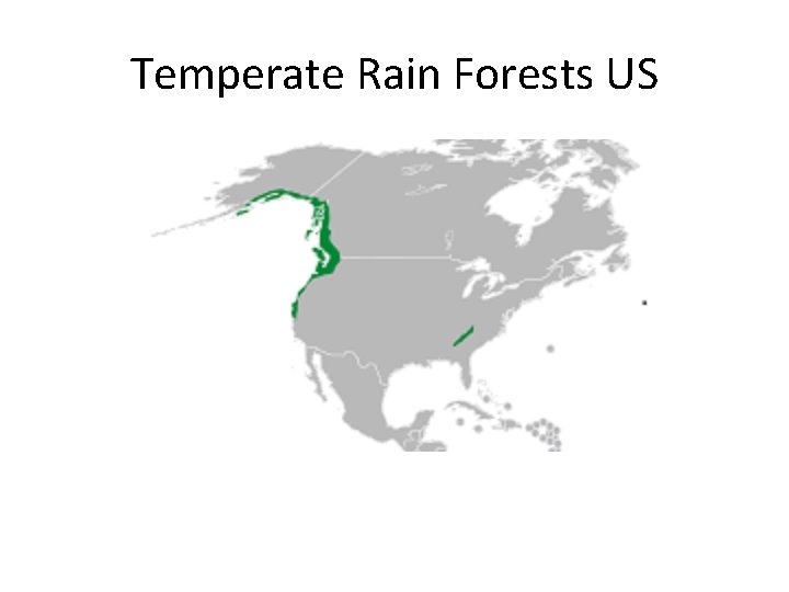 Temperate Rain Forests US 