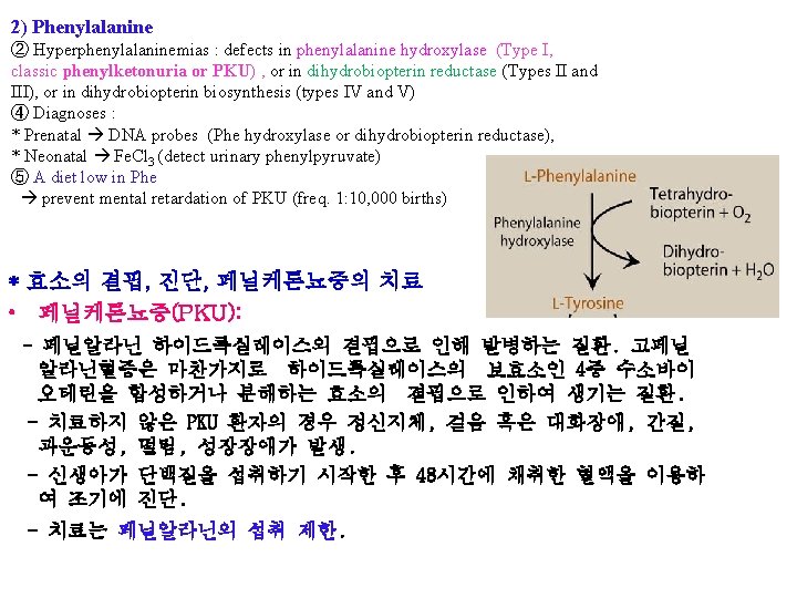 2) Phenylalanine ② Hyperphenylalaninemias : defects in phenylalanine hydroxylase (Type I, classic phenylketonuria or