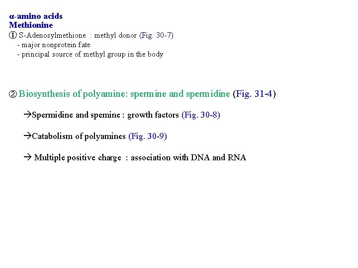 α-amino acids Methionine ① S-Adenosylmethione : methyl donor (Fig. 30 -7) - major nonprotein