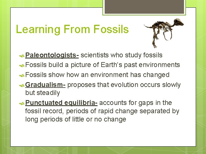 Learning From Fossils Paleontologists- scientists who study fossils Fossils build a picture of Earth’s