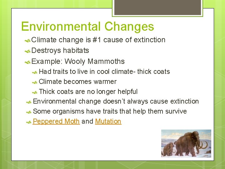 Environmental Changes Climate change is #1 cause of extinction Destroys habitats Example: Wooly Mammoths