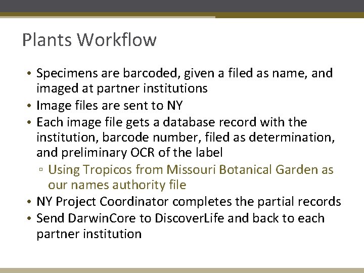 Plants Workflow • Specimens are barcoded, given a filed as name, and imaged at