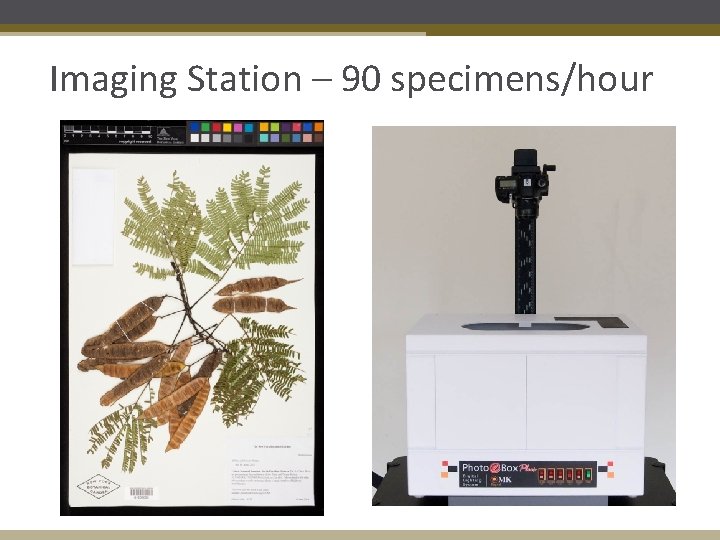 Imaging Station – 90 specimens/hour 